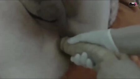 amateursexvideo